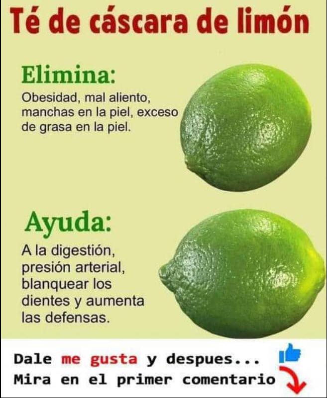 Planta Kalanchoe en maceta